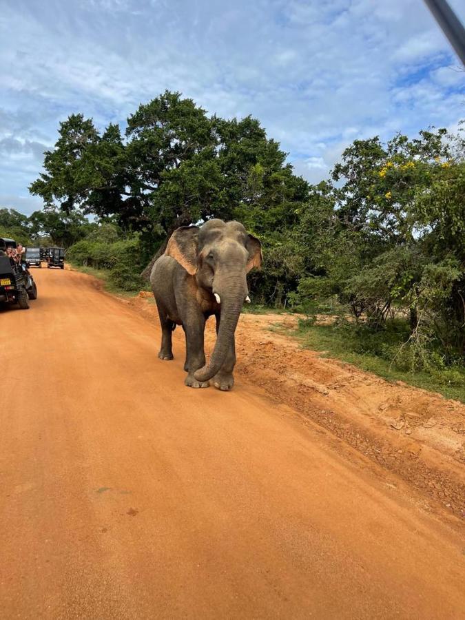 Tissa Rainbow Guest & Yala Hotel ทิซซามาฮารามา ภายนอก รูปภาพ