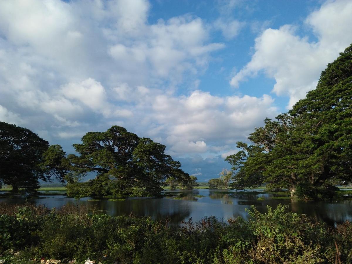 Tissa Rainbow Guest & Yala Hotel ทิซซามาฮารามา ภายนอก รูปภาพ
