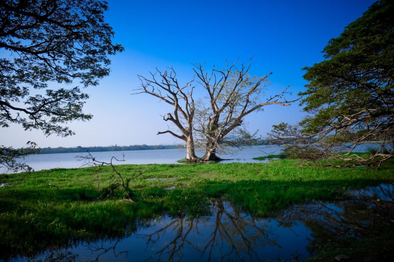 Tissa Rainbow Guest & Yala Hotel ทิซซามาฮารามา ภายนอก รูปภาพ